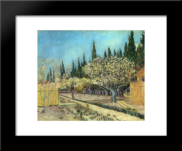 Orchard In Blossom, Bordered By Cypresses 20x24 Black Modern Wood Framed Art Print Poster by Van Gogh, Vincent