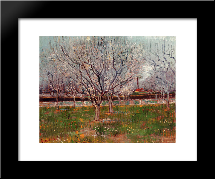 Orchard In Blossom (Plum Trees) 20x24 Black Modern Wood Framed Art Print Poster by Van Gogh, Vincent