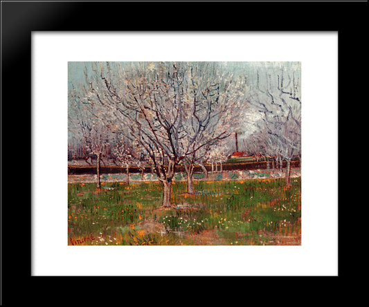 Orchard In Blossom (Plum Trees) 20x24 Black Modern Wood Framed Art Print Poster by Van Gogh, Vincent