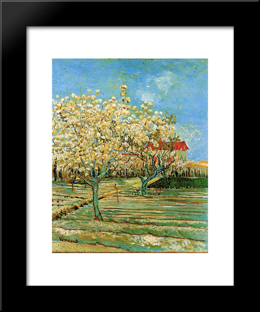 Orchard In Blossom 20x24 Black Modern Wood Framed Art Print Poster by Van Gogh, Vincent