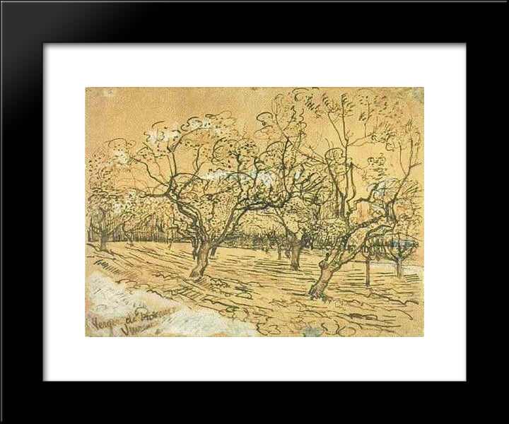 Orchard With Blossoming Plum Trees (The White Orchard) 20x24 Black Modern Wood Framed Art Print Poster by Van Gogh, Vincent