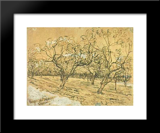 Orchard With Blossoming Plum Trees (The White Orchard) 20x24 Black Modern Wood Framed Art Print Poster by Van Gogh, Vincent