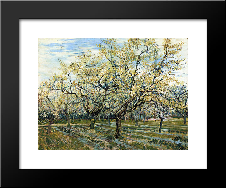 Orchard With Blossoming Plum Trees 20x24 Black Modern Wood Framed Art Print Poster by Van Gogh, Vincent