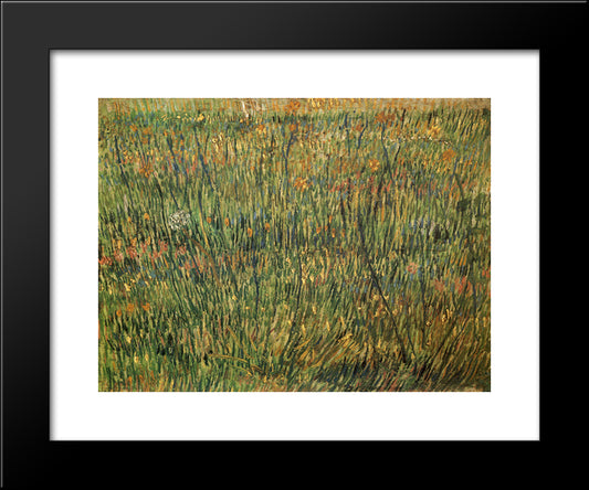 Pasture In Bloom 20x24 Black Modern Wood Framed Art Print Poster by Van Gogh, Vincent