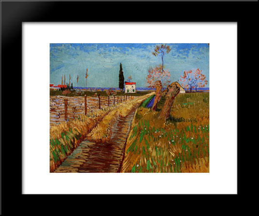 Path Through A Field With Willows 20x24 Black Modern Wood Framed Art Print Poster by Van Gogh, Vincent