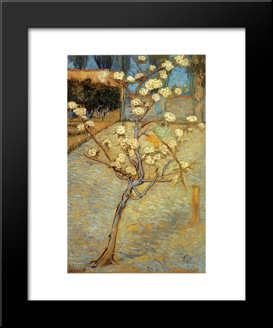 Pear Tree In Blossom 20x24 Black Modern Wood Framed Art Print Poster by Van Gogh, Vincent