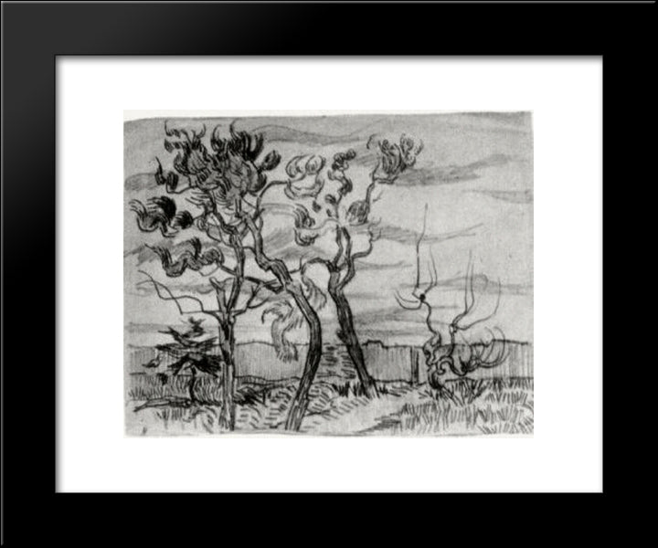 Pine Trees In Front Of The Wall Of The Asylum 20x24 Black Modern Wood Framed Art Print Poster by Van Gogh, Vincent