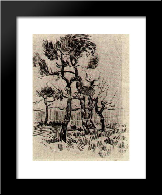 Pine Trees In Front Of The Wall Of The Asylum 4 20x24 Black Modern Wood Framed Art Print Poster by Van Gogh, Vincent