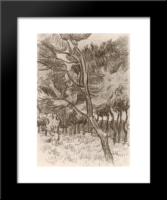 Pine Trees In The Garden Of The Asylum 20x24 Black Modern Wood Framed Art Print Poster by Van Gogh, Vincent