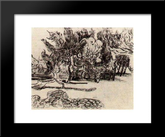 Pine Trees Near The Wall Of The Asylum 20x24 Black Modern Wood Framed Art Print Poster by Van Gogh, Vincent