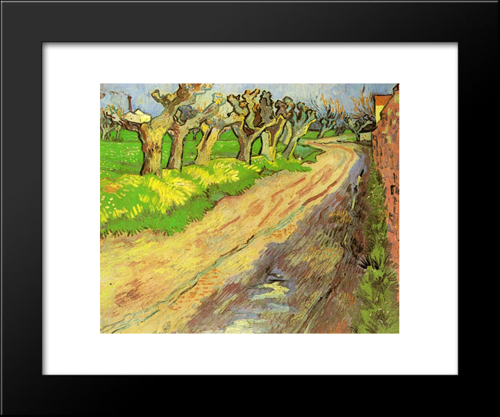 Pollard Willows 20x24 Black Modern Wood Framed Art Print Poster by Van Gogh, Vincent