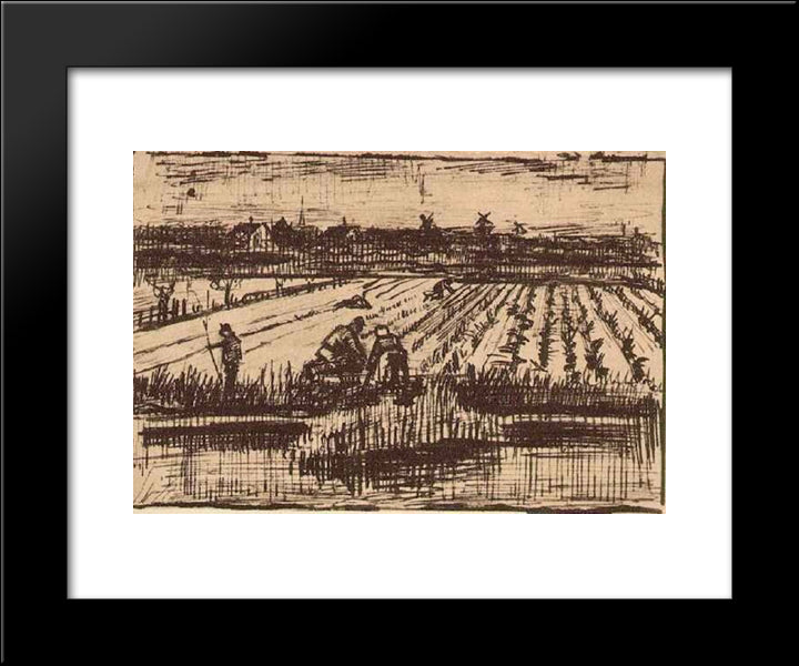 Potato Field 20x24 Black Modern Wood Framed Art Print Poster by Van Gogh, Vincent