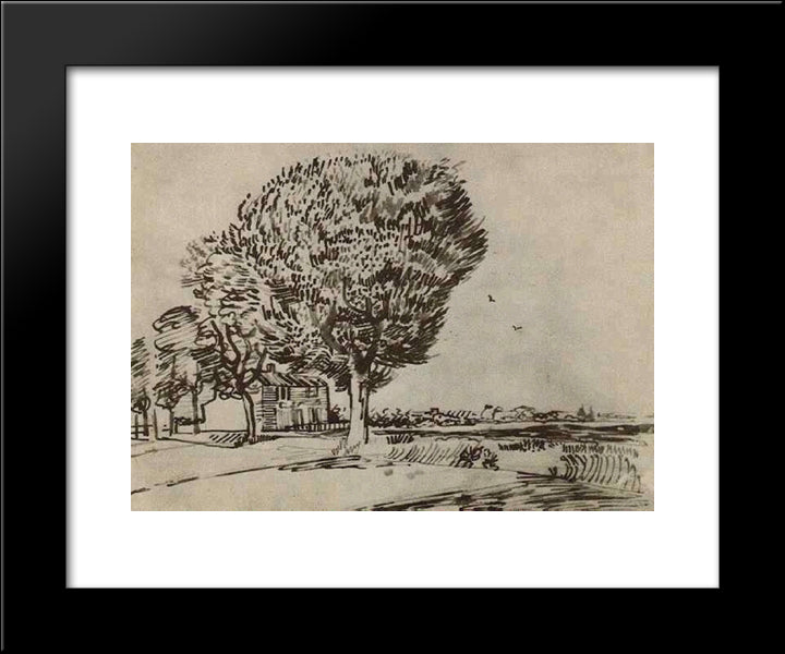 Road With Trees 20x24 Black Modern Wood Framed Art Print Poster by Van Gogh, Vincent