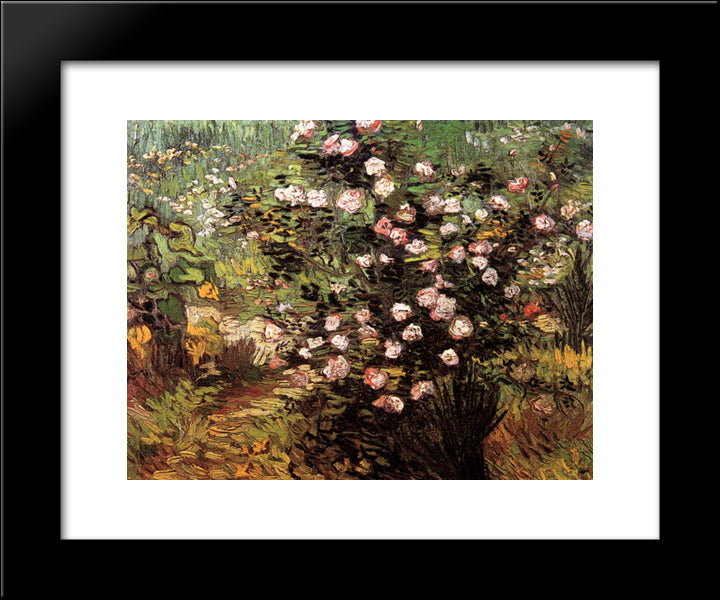 Rosebush In Blossom 20x24 Black Modern Wood Framed Art Print Poster by Van Gogh, Vincent