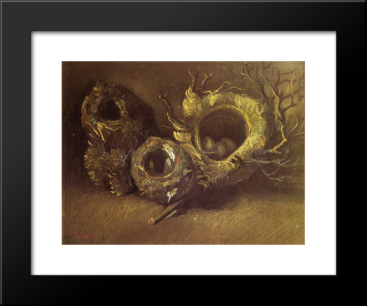 Still Life With Three Birds Nests 20x24 Black Modern Wood Framed Art Print Poster by Van Gogh, Vincent