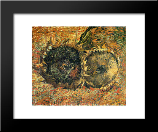 Still Life With Two Sunflowers 20x24 Black Modern Wood Framed Art Print Poster by Van Gogh, Vincent