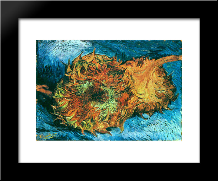 Still Life With Two Sunflowers 20x24 Black Modern Wood Framed Art Print Poster by Van Gogh, Vincent