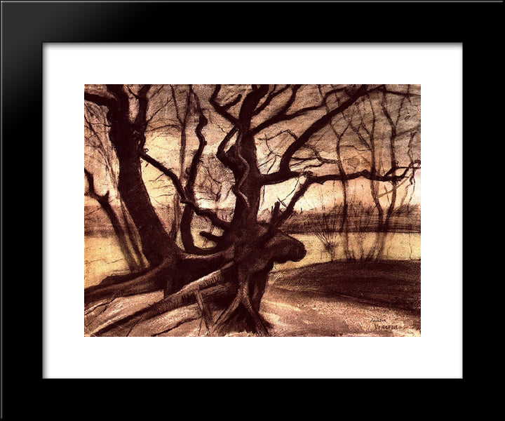 Study Of A Tree 20x24 Black Modern Wood Framed Art Print Poster by Van Gogh, Vincent