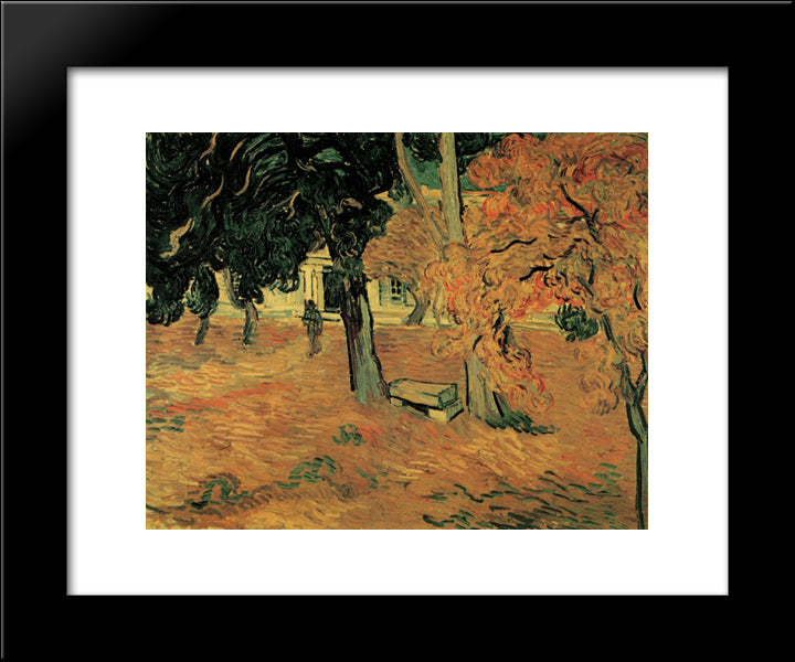 The Garden Of Saint-Paul Hospital 20x24 Black Modern Wood Framed Art Print Poster by Van Gogh, Vincent