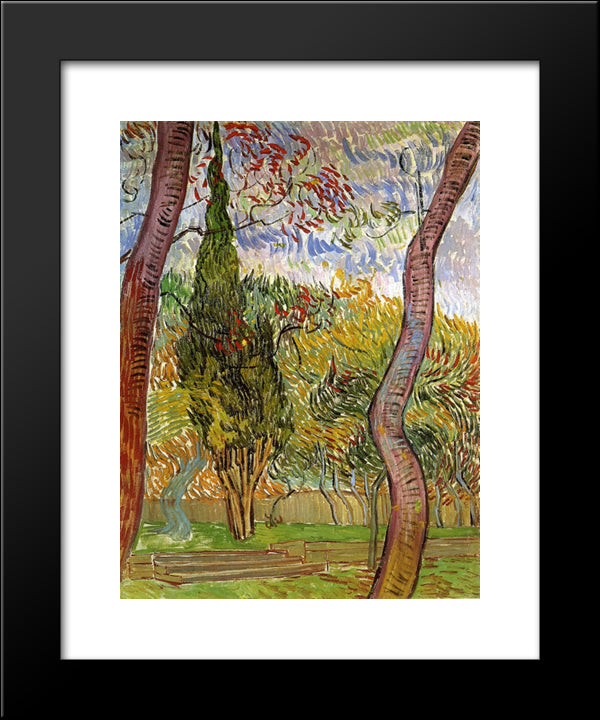 The Garden Of Saint-Paul Hospital 20x24 Black Modern Wood Framed Art Print Poster by Van Gogh, Vincent