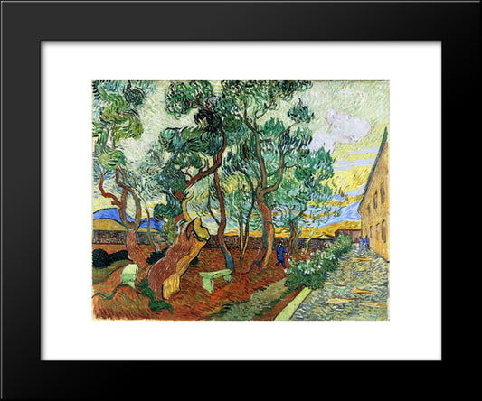 The Garden Of St. Paul'S Hospital At St. Remy 20x24 Black Modern Wood Framed Art Print Poster by Van Gogh, Vincent