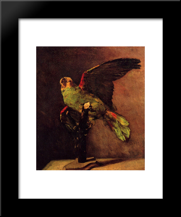 The Green Parrot 20x24 Black Modern Wood Framed Art Print Poster by Van Gogh, Vincent