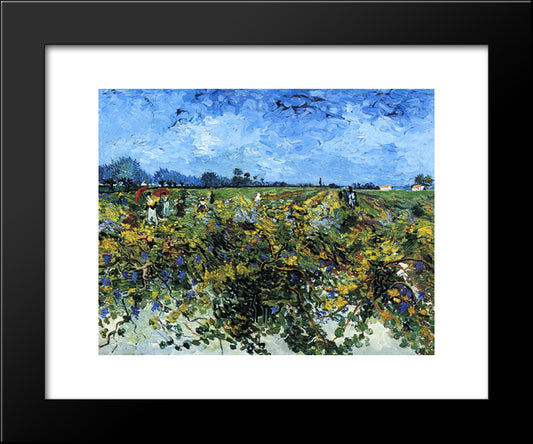 The Green Vinyard 20x24 Black Modern Wood Framed Art Print Poster by Van Gogh, Vincent