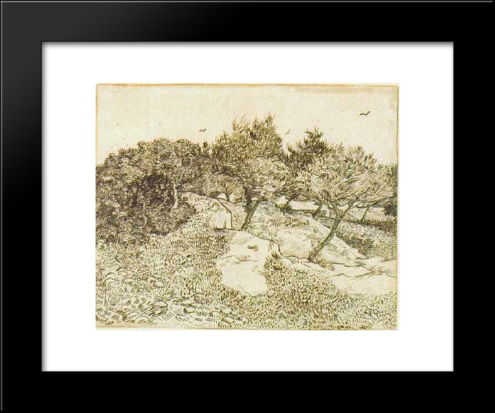 The Olive Trees 20x24 Black Modern Wood Framed Art Print Poster by Van Gogh, Vincent