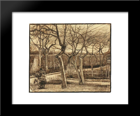 The Vicarage Garden 20x24 Black Modern Wood Framed Art Print Poster by Van Gogh, Vincent