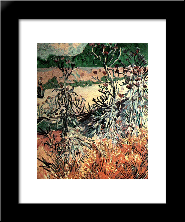 Thistles 20x24 Black Modern Wood Framed Art Print Poster by Van Gogh, Vincent