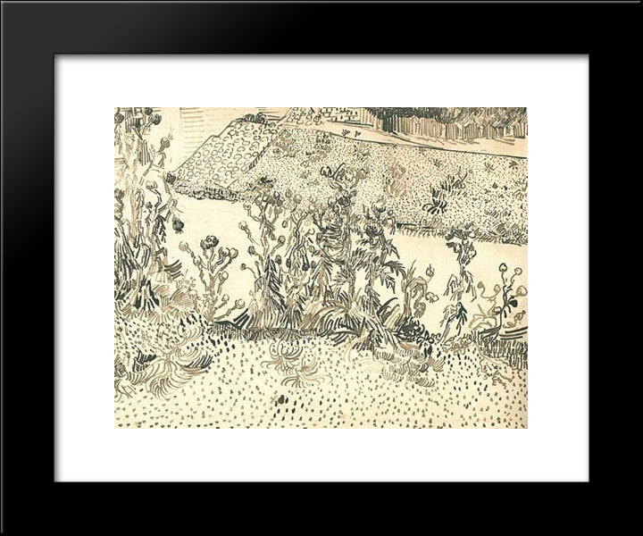 Thistles Along The Roadside 20x24 Black Modern Wood Framed Art Print Poster by Van Gogh, Vincent