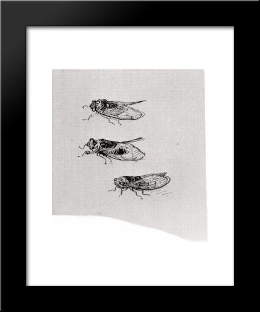 Three Cicadas 20x24 Black Modern Wood Framed Art Print Poster by Van Gogh, Vincent