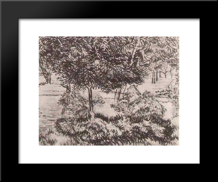 Trees And Shrubs 20x24 Black Modern Wood Framed Art Print Poster by Van Gogh, Vincent