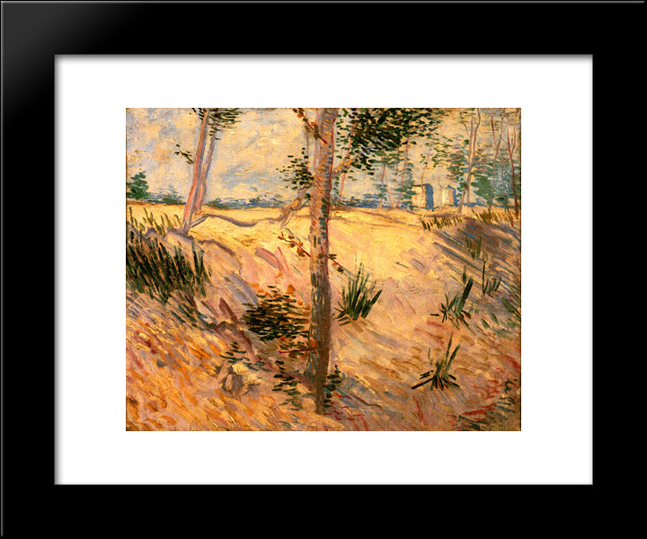 Trees In A Field On A Sunny Day 20x24 Black Modern Wood Framed Art Print Poster by Van Gogh, Vincent