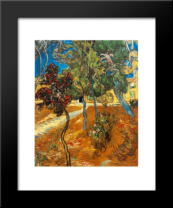 Trees In The Asylum Garden 20x24 Black Modern Wood Framed Art Print Poster by Van Gogh, Vincent