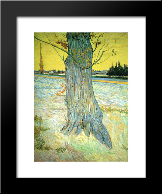 Trunk Of An Old Yew Tree 20x24 Black Modern Wood Framed Art Print Poster by Van Gogh, Vincent