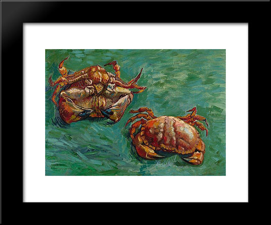 Two Crabs 20x24 Black Modern Wood Framed Art Print Poster by Van Gogh, Vincent