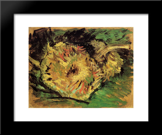 Two Cut Sunflowers 20x24 Black Modern Wood Framed Art Print Poster by Van Gogh, Vincent