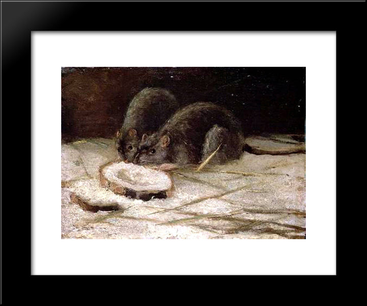 Two Rats 20x24 Black Modern Wood Framed Art Print Poster by Van Gogh, Vincent