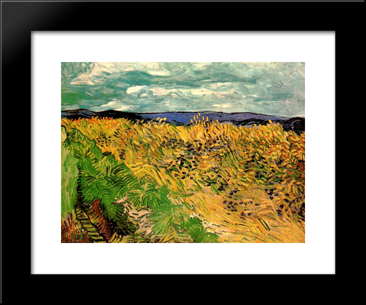 Wheat Field With Cornflowers 20x24 Black Modern Wood Framed Art Print Poster by Van Gogh, Vincent