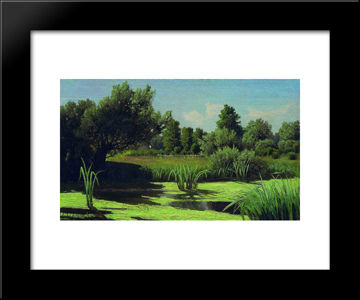 The Landscape. The Reeds In The River. 20x24 Black Modern Wood Framed Art Print Poster by Orlovsky, Volodymyr