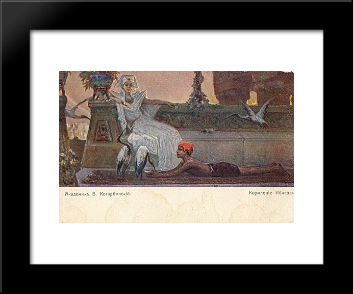Ibises Feeding 20x24 Black Modern Wood Framed Art Print Poster by Kotarbinski, Wilhelm