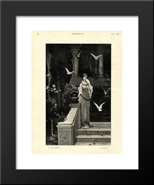 Pigeons 20x24 Black Modern Wood Framed Art Print Poster by Kotarbinski, Wilhelm