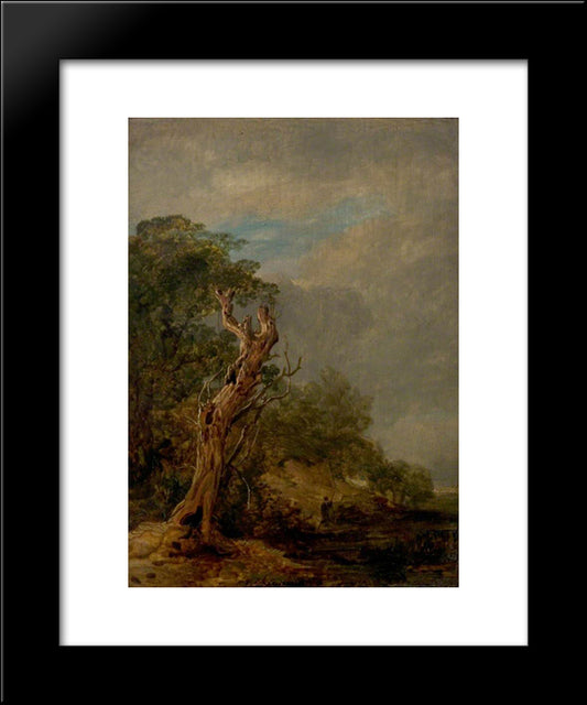 The Withered Tree 20x24 Black Modern Wood Framed Art Print Poster by Collins, William