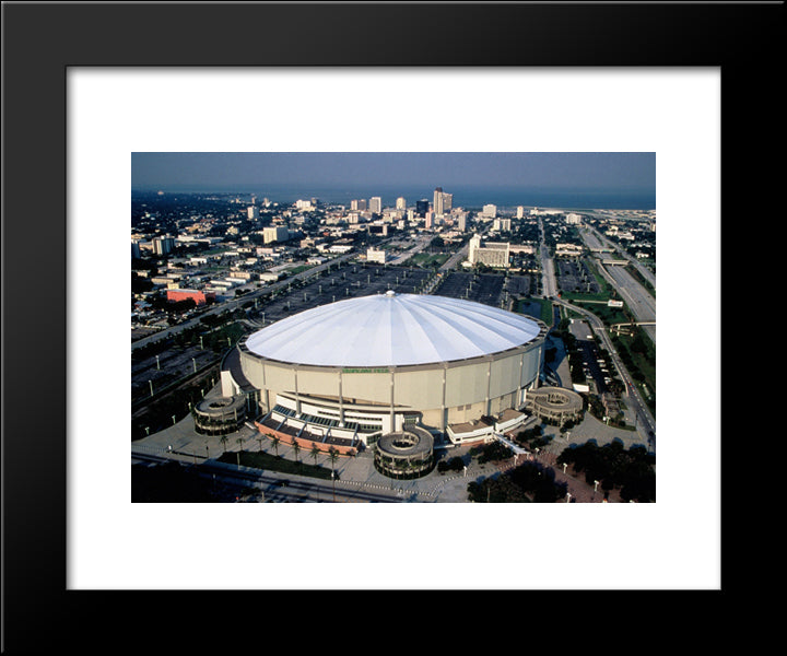 Tropicana Field 20x24 Black Modern Wood Framed Art Print Poster