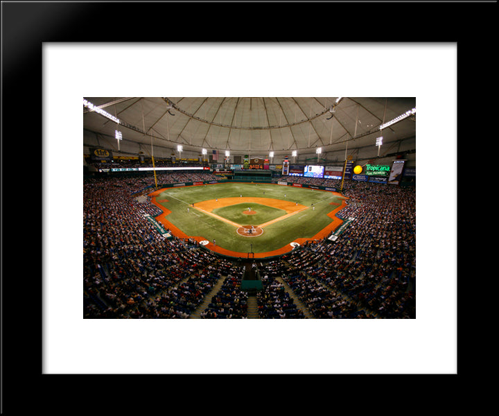 Tropicana Field 20x24 Black Modern Wood Framed Art Print Poster