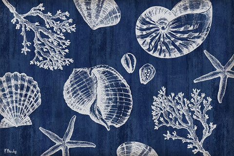 Saint Tropez Shells Horizontal - Indigo Black Ornate Wood Framed Art Print with Double Matting by Brent, Paul