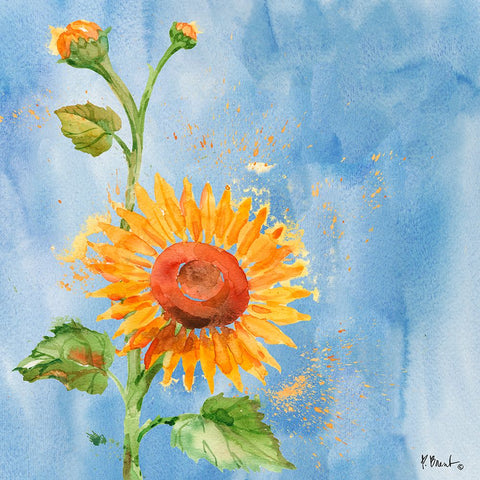 Arianna Sunflowers I - Sky Blue Black Ornate Wood Framed Art Print with Double Matting by Brent, Paul