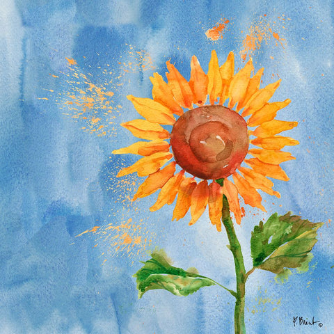 Arianna Sunflowers III - Sky Blue Black Ornate Wood Framed Art Print with Double Matting by Brent, Paul