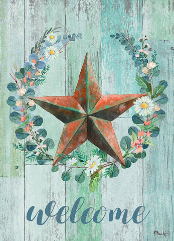 Abloom Barnstar Vertical White Modern Wood Framed Art Print with Double Matting by Brent, Paul